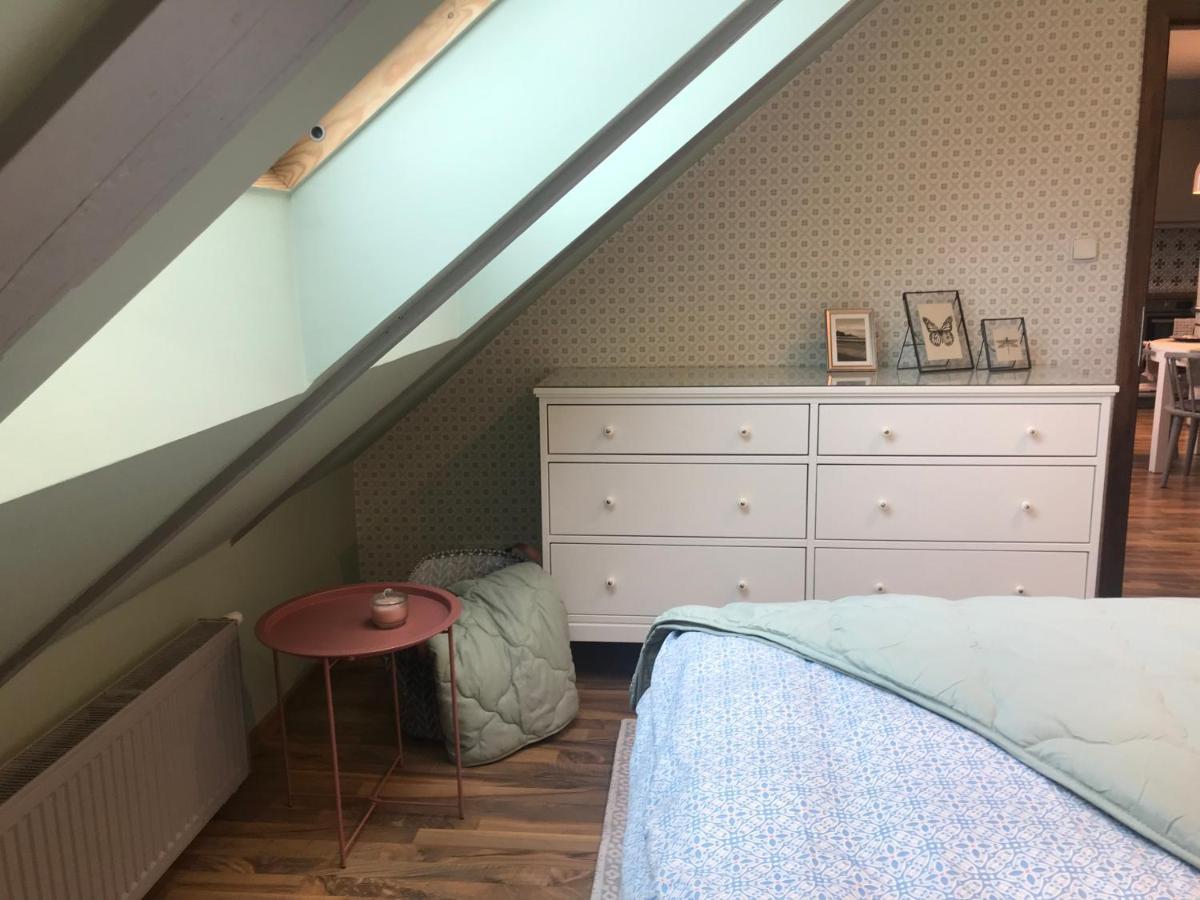Attic Apartment On Waterfront / View / Netflix プラハ エクステリア 写真
