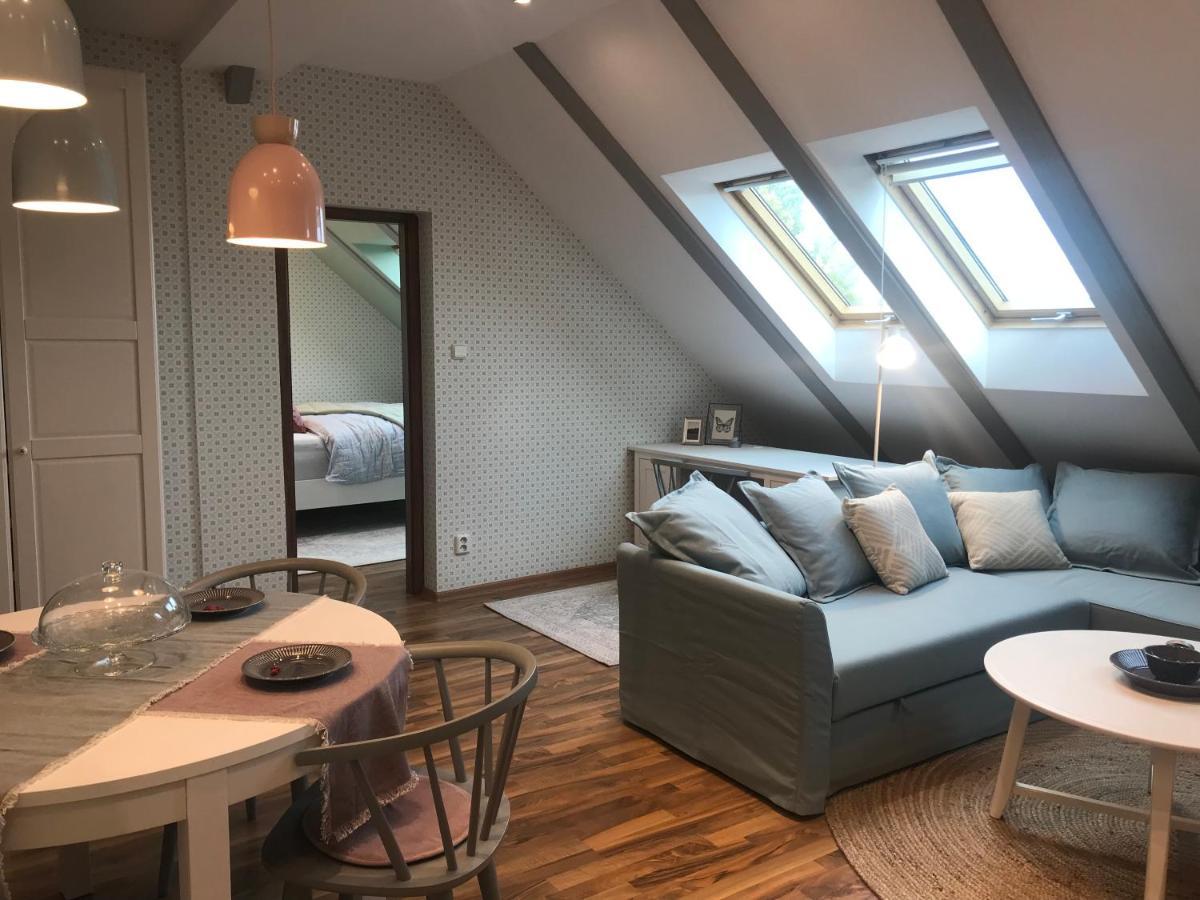 Attic Apartment On Waterfront / View / Netflix プラハ エクステリア 写真